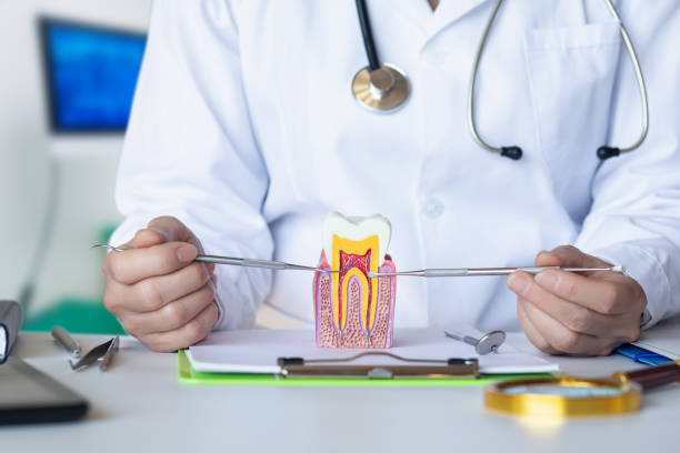 Best Same-Day Emergency Dental Services in Wahese, NC